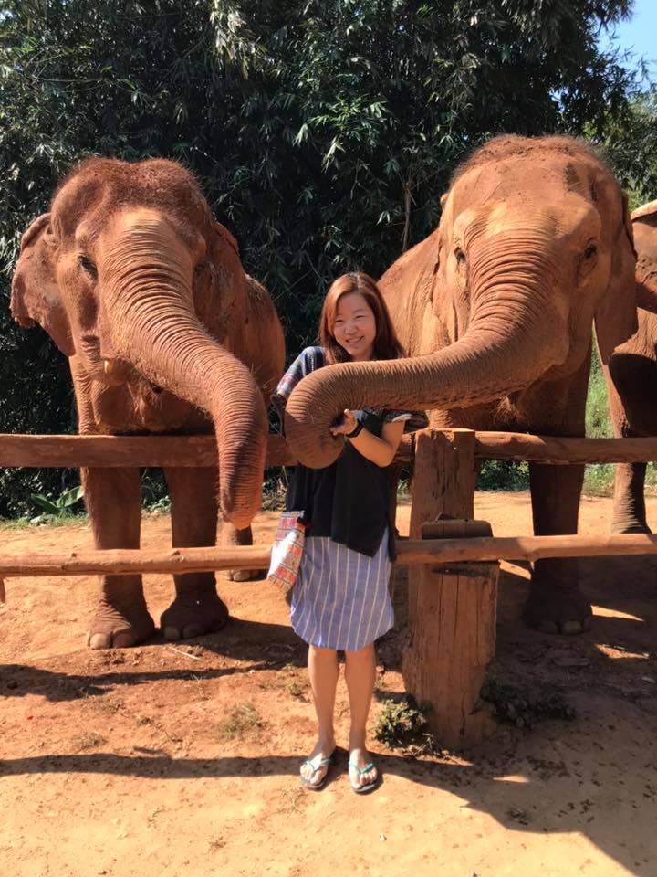 Playing with Elephants